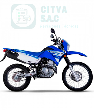 Camión Grande